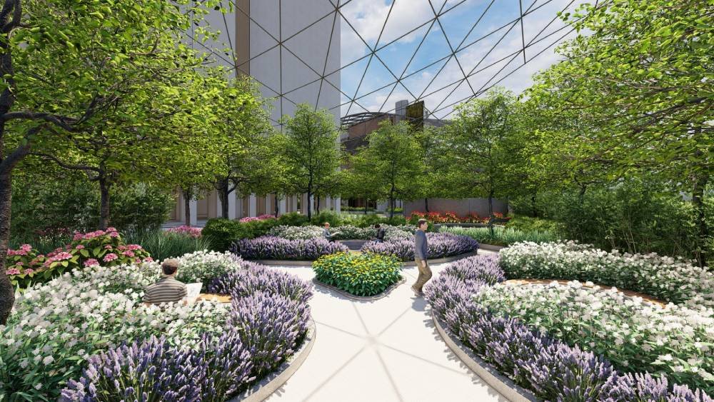 Garden Area