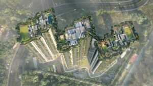Bird View
